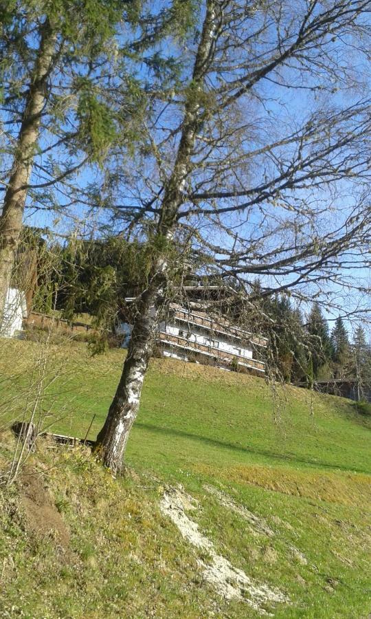 Pension Chalet Bergseegut Wagrain Εξωτερικό φωτογραφία