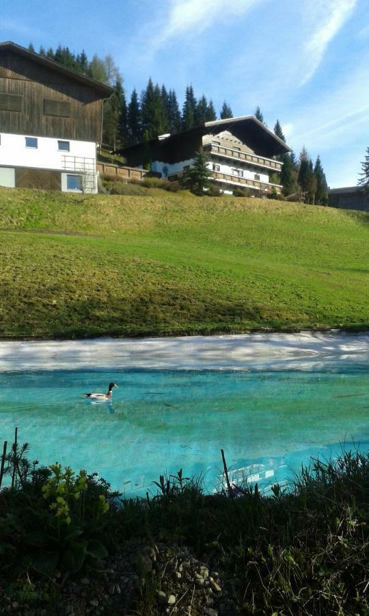 Pension Chalet Bergseegut Wagrain Εξωτερικό φωτογραφία