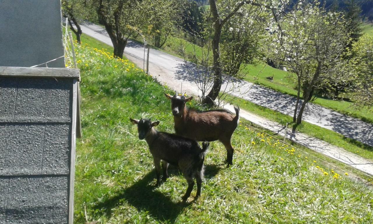 Pension Chalet Bergseegut Wagrain Εξωτερικό φωτογραφία