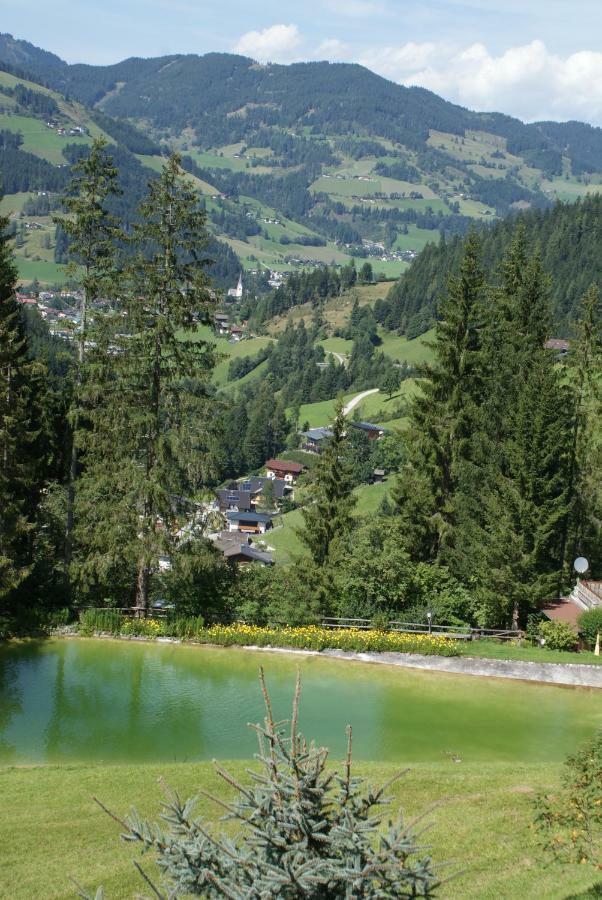 Pension Chalet Bergseegut Wagrain Εξωτερικό φωτογραφία