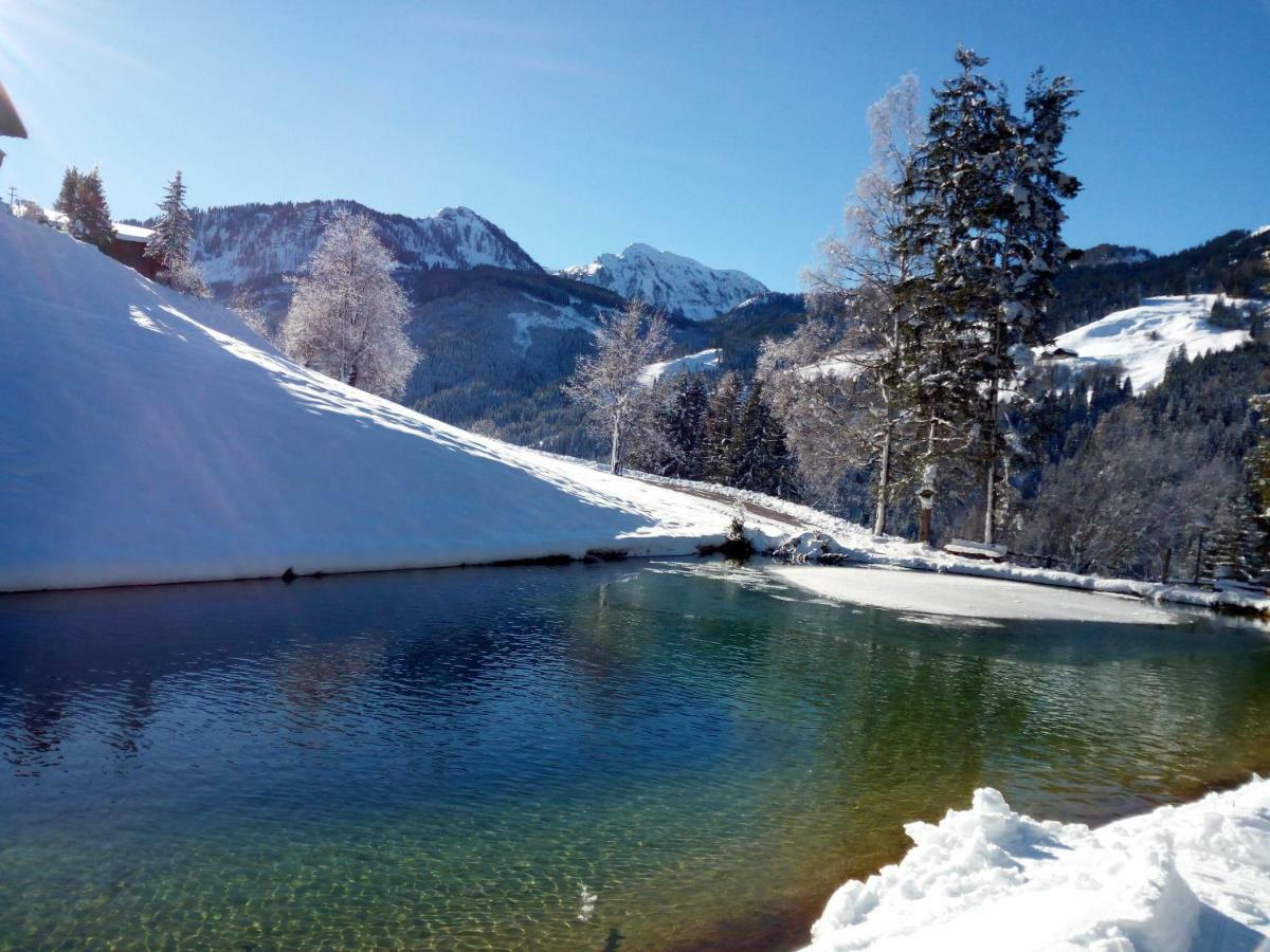 Pension Chalet Bergseegut Wagrain Εξωτερικό φωτογραφία