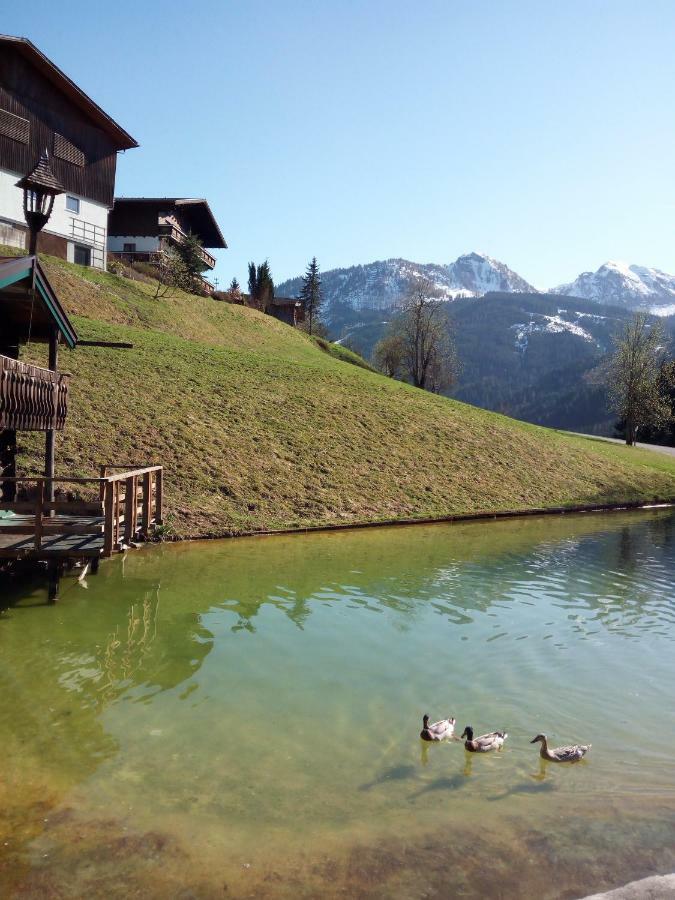 Pension Chalet Bergseegut Wagrain Εξωτερικό φωτογραφία
